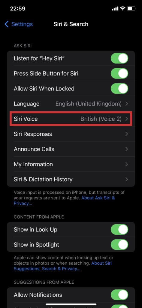 how to change siri voice on ipad and iphone step 2
